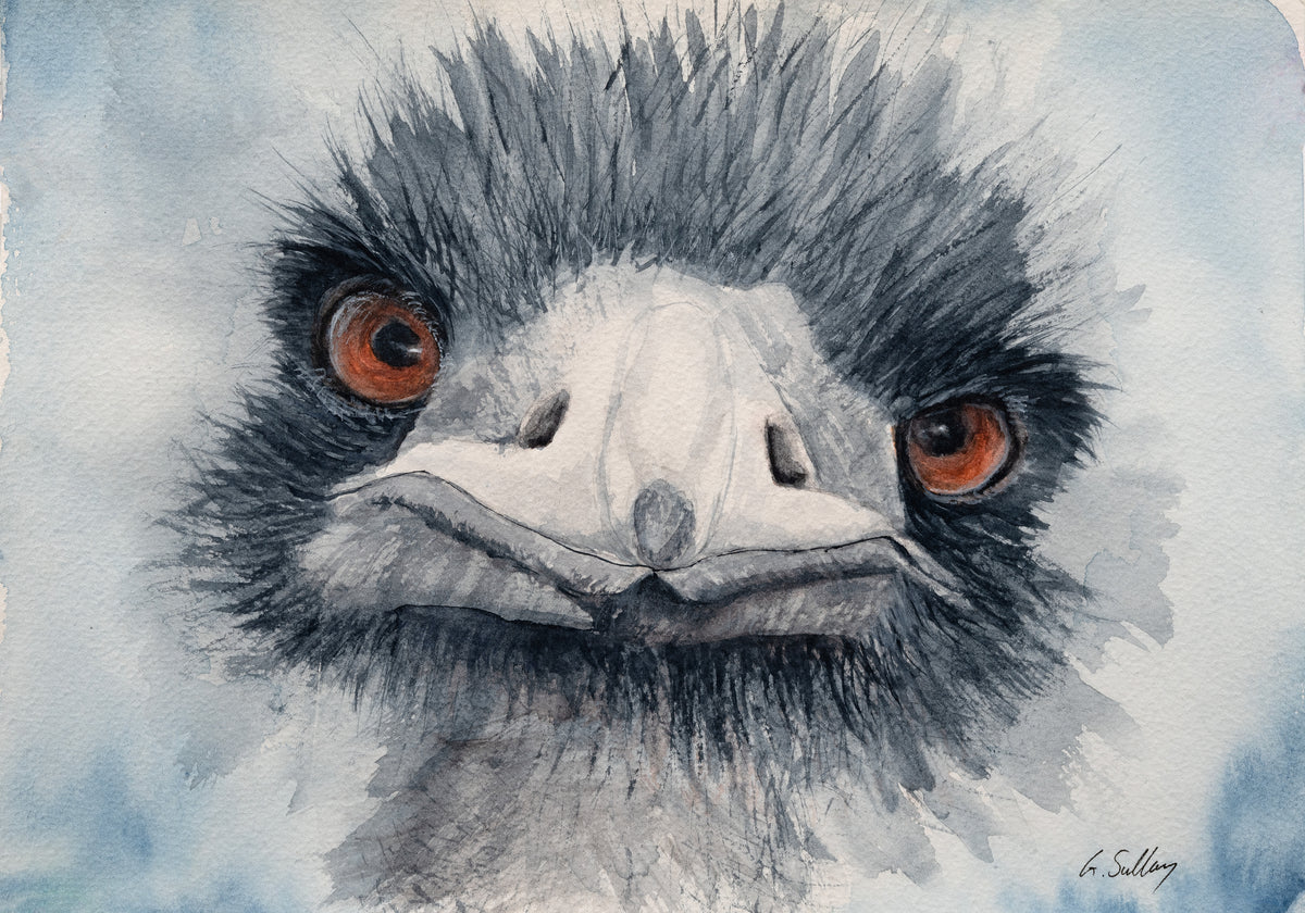 Watercolour painting of an emu's face with amber eyes and shaggy feathers, by Gayle, Sailaway Studio
