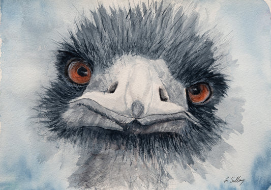 Watercolour painting of an emu's face with amber eyes and shaggy feathers, by Gayle, Sailaway Studio