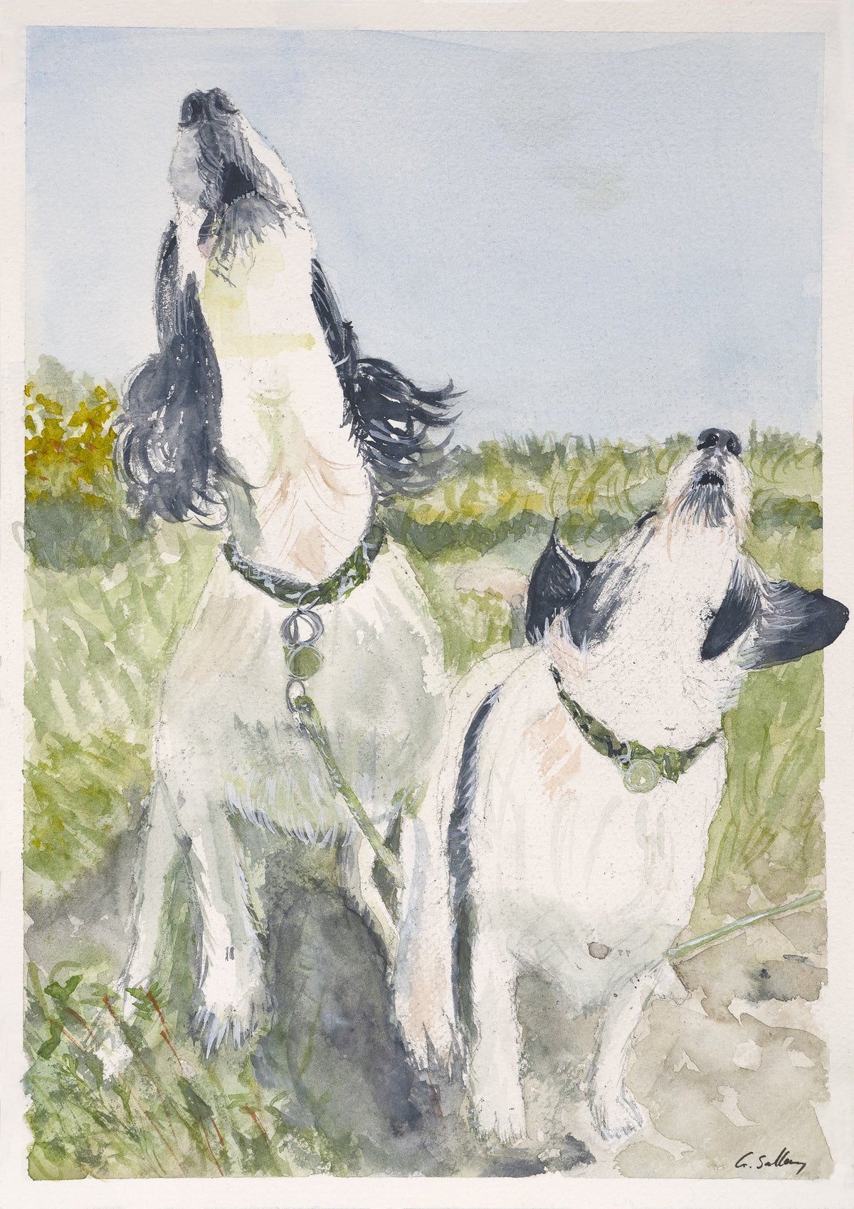 Watercolour pet portrait of two dogs howling in a field, hand-painted by Gayle