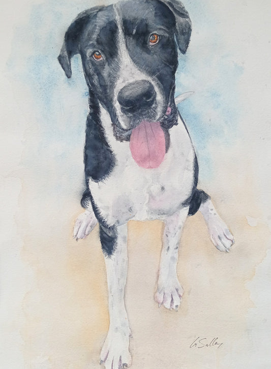 Watercolour pet portrait of a black and white dog with a big pink tongue, hand-painted by Gayle from the owner's photo